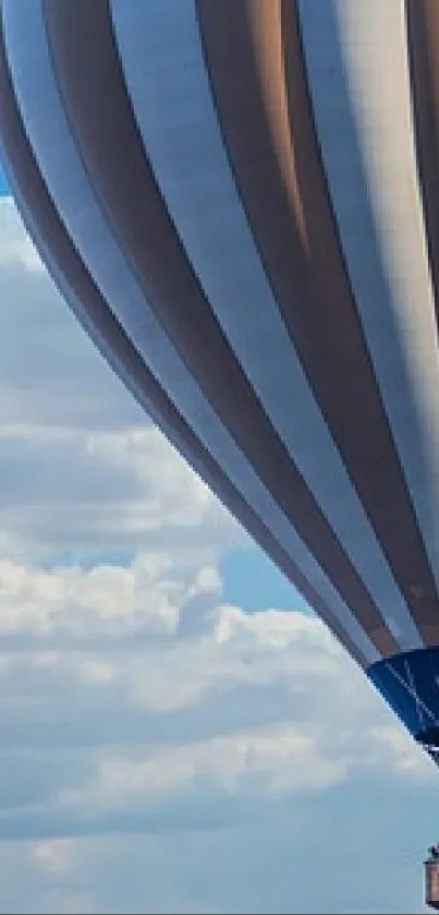 Hot air balloon soaring against a blue sky.