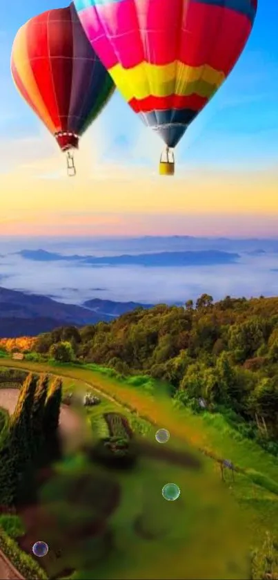 Colorful hot air balloons over lush green hills at sunset.