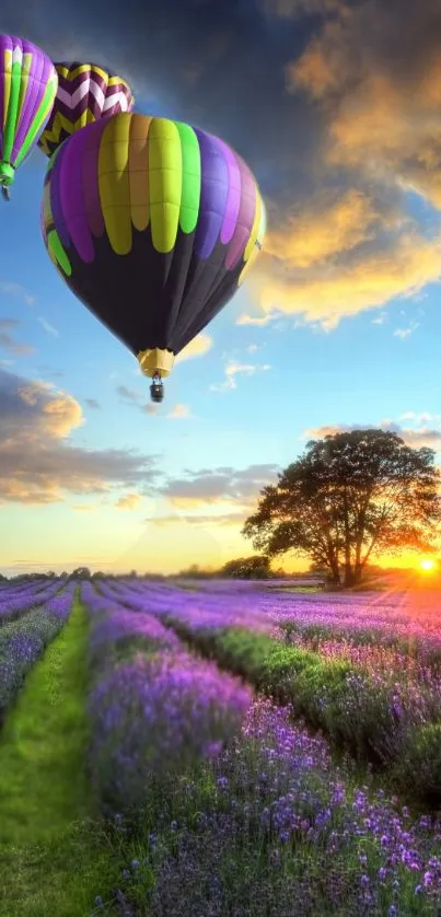 Vibrant hot air balloons floating over a lavender field at sunset.