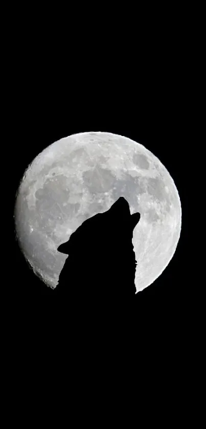 Wolf silhouetted against full moon in night sky mobile wallpaper.