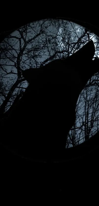 Howling wolf silhouette against night sky.