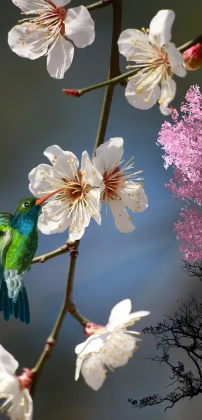 Vibrant hummingbird with pink blossoms.