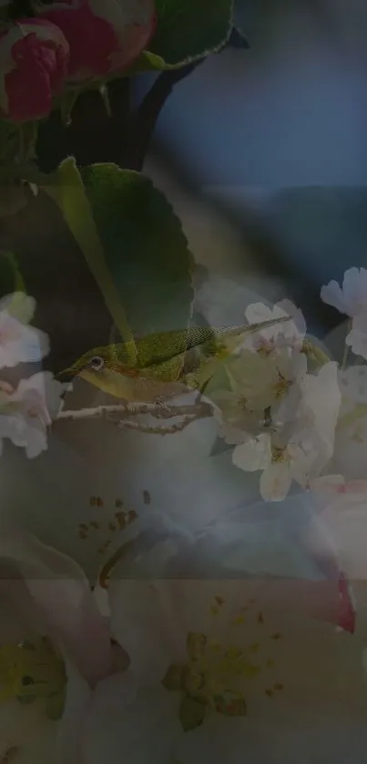 Hummingbird amidst pink and white blossoms over dark green foliage.