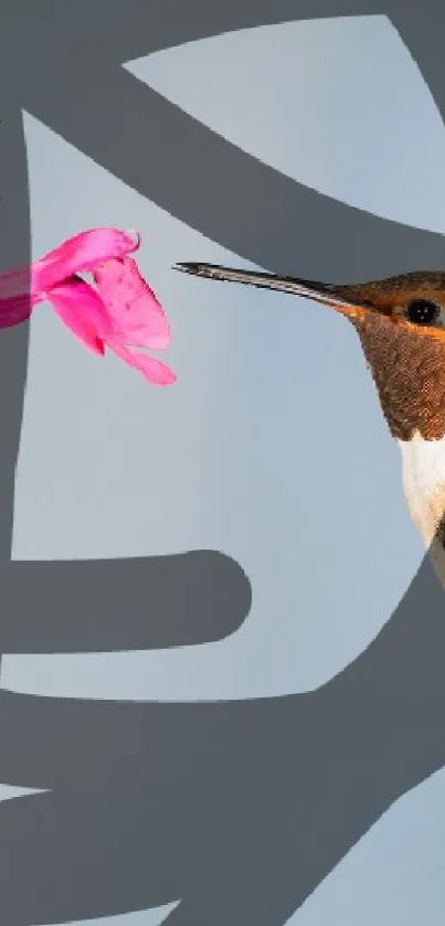 Hummingbird sipping nectar from a pink flower, set on an abstract gray background.