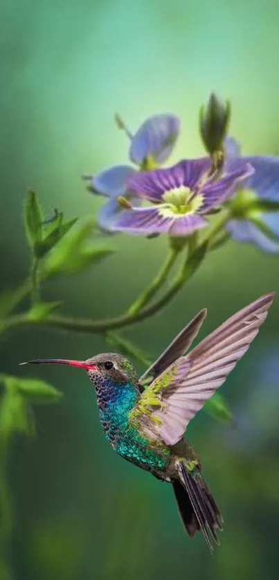 Vibrant hummingbird near a purple flower on green background.