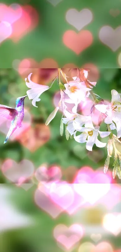 Hummingbird and lilies with pink bokeh hearts.