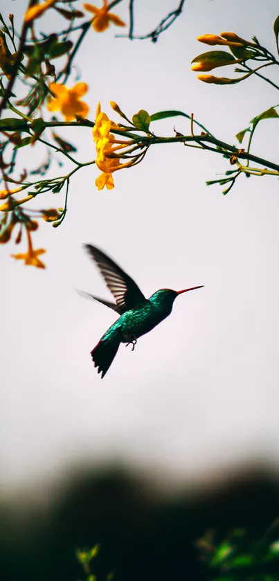 Hummingbird hovering near yellow flowers on a nature background.