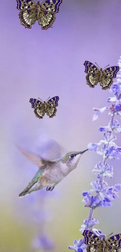 Hummingbird and butterflies on lavender background