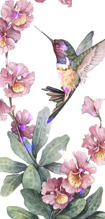 Artistic wallpaper featuring a hummingbird and pink orchids.