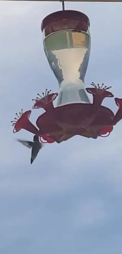 Hummingbird hovering at a red feeder against a blue sky.