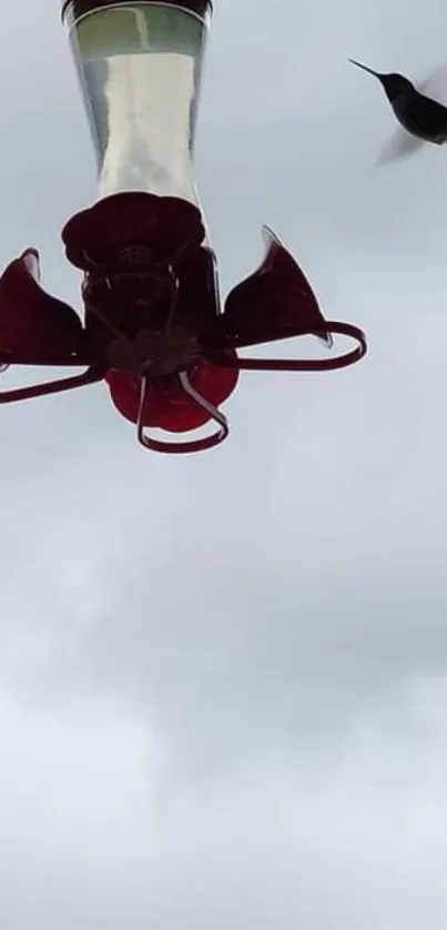 Hummingbird near red feeder against cloudy sky.