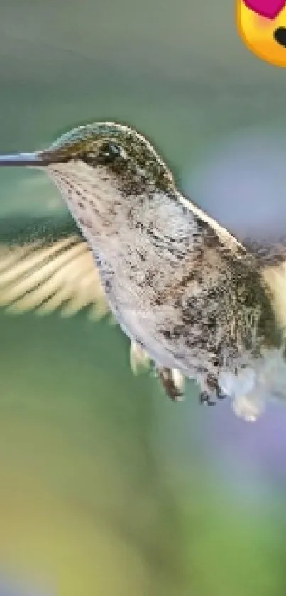 Hummingbird soaring gracefully with vibrant background.