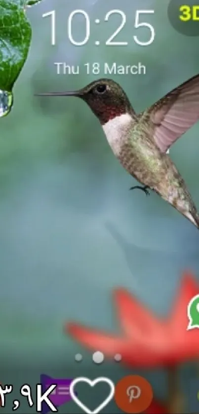 Vibrant hummingbird with green background and red flower.