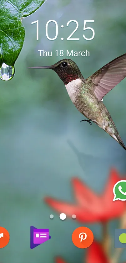 Hummingbird with dew drop against green background on mobile wallpaper.