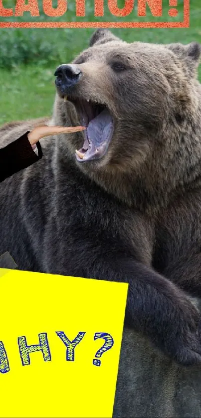 Funny bear with a caution sign and question mark on rocky ground.