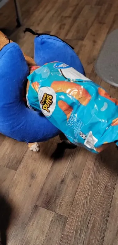 Two dogs with a funny chip bag on the floor.