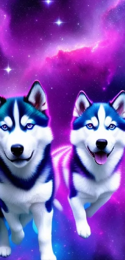 Husky dogs against a vibrant purple cosmic nebula backdrop.