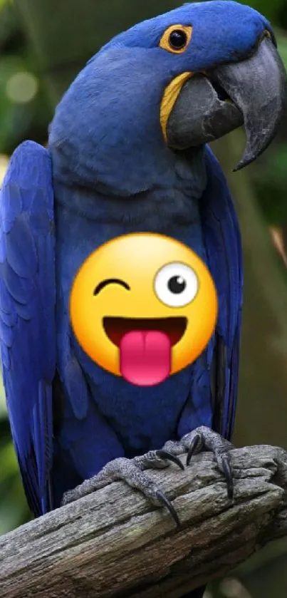 Hyacinth macaw with emoji on a branch.