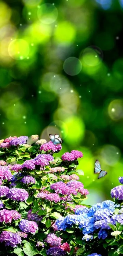 Vibrant hydrangeas and butterflies in lush green background.