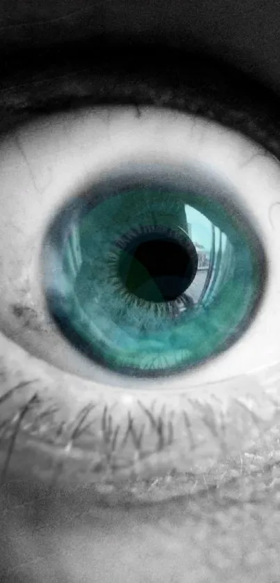 Close-up of a blue eye with teal iris and detailed textures.