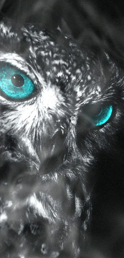 Owl with turquoise eyes on a dark background, perfect for mobile wallpaper.