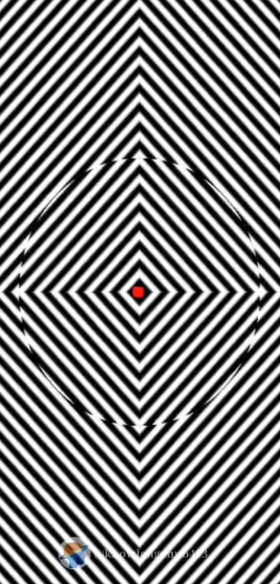 Black and white striped optical illusion with red center.