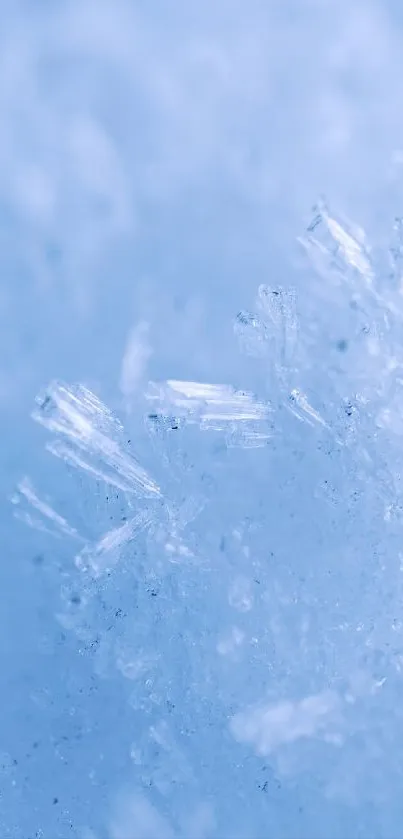 Close-up of ice crystals on a blue background, creating a cold and serene visual.