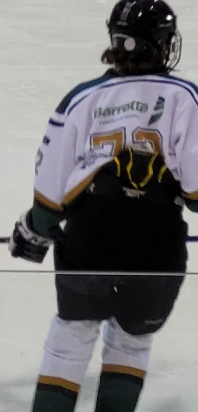 Ice hockey players in an arena on ice.