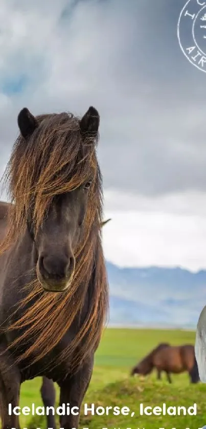 Majestic Icelandic horse in serene Iceland landscape.