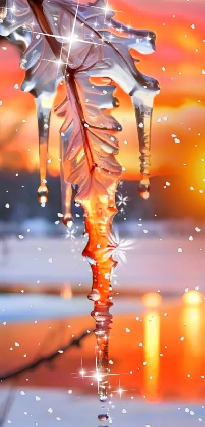 Icicle hanging from oak leaf at sunset with orange sky.