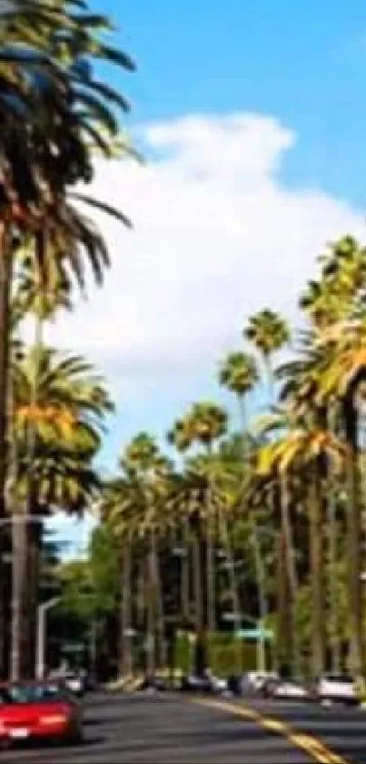 Beverly Hills street lined with palm trees under a clear blue sky.