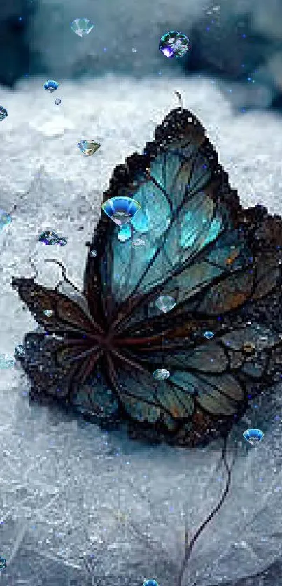 Blue butterfly on icy surface mobile wallpaper.