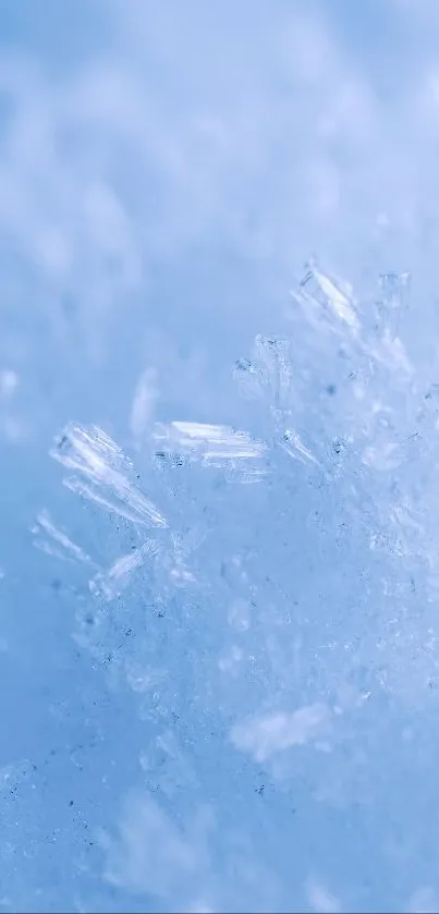 Close-up of frozen snowflakes in soft ice blue hues, perfect for a winter wallpaper.