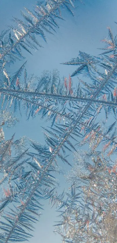 Intricate frost pattern on a blue background, perfect for winter-themed mobile wallpaper.