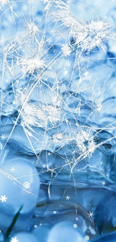 Abstract icy bubbles with blue hues create a serene winter-themed wallpaper.