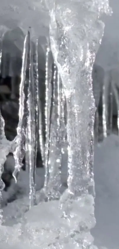 Close-up of icicles in a serene winter setting.