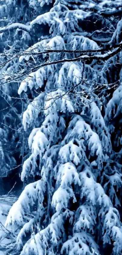 Snow-covered forest mobile wallpaper with icy blue hues.