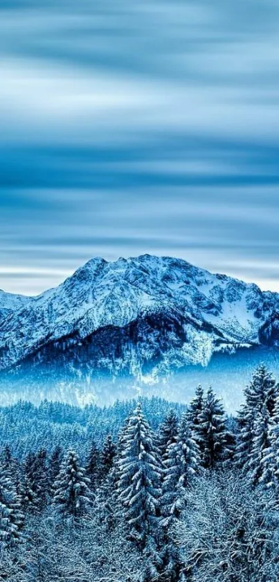 Icy mountain landscape with snow-covered trees and blue sky.