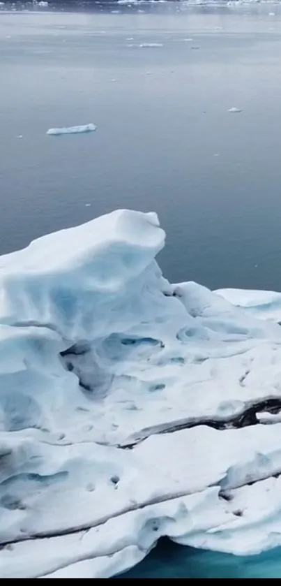 Floating icebergs on a serene ocean background.