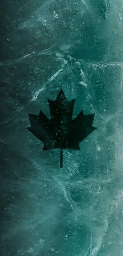 Teal icy background with black maple leaf.