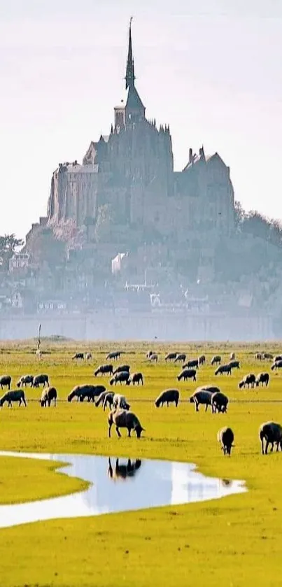 Scenic view of Mont Saint Michel with sheep grazing.