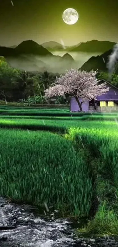 Idyllic night landscape with moonlit rural house and lush green fields.