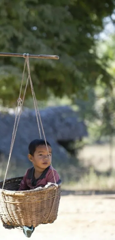 Child sitting peacefully in a basket swing under a tree.