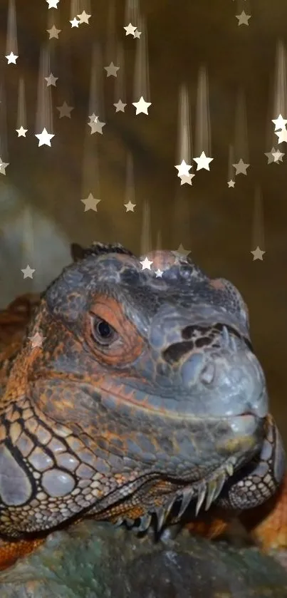 Close-up of an iguana with falling stars effect wallpaper.