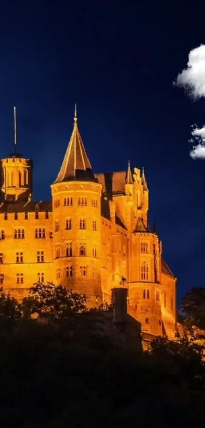 Illuminated castle against dark blue night sky with clouds.