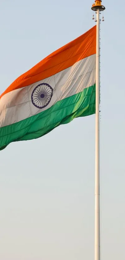 Indian flag soaring against a clear sky.