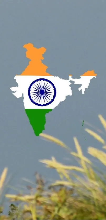 Map of India with flag colors on gray background.