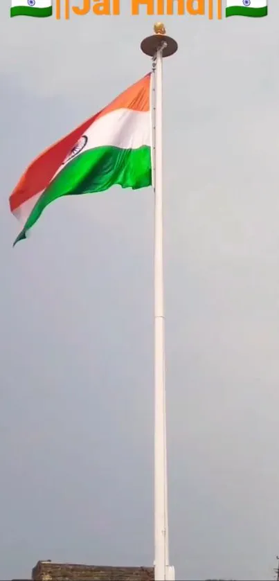 Indian national flag against clear sky.