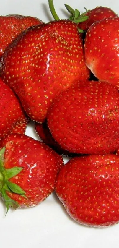 Indoor Food Plate Live Wallpaper