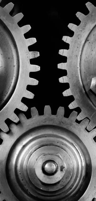 Black and white industrial gears, showcasing a mechanical design.